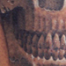 tattoo galleries/ - Skull